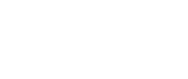 Cliffie Dippenaar Motors — Est. 2000